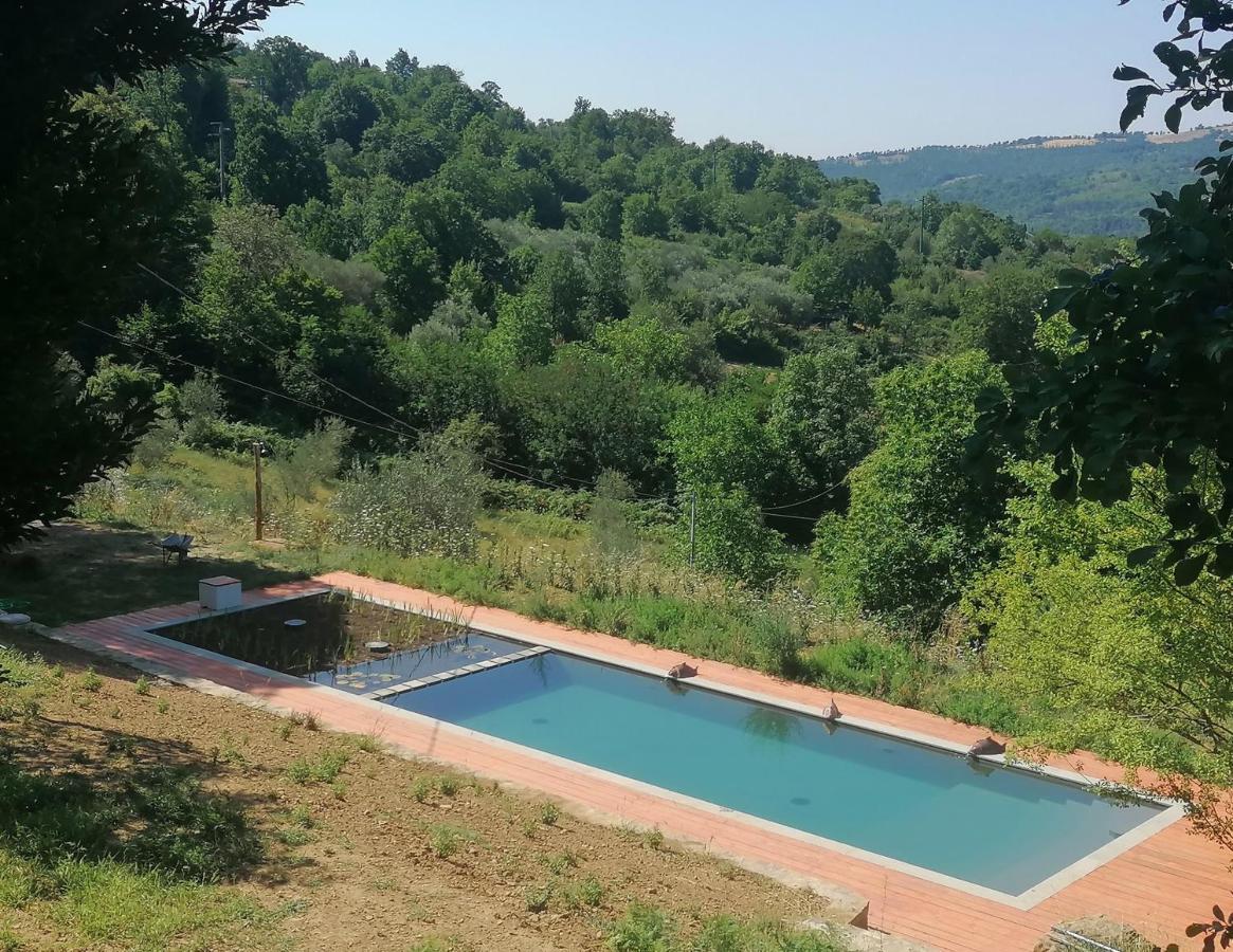 Podere Di Maggio - Glamping Tent 2 Санта-Фьора Экстерьер фото