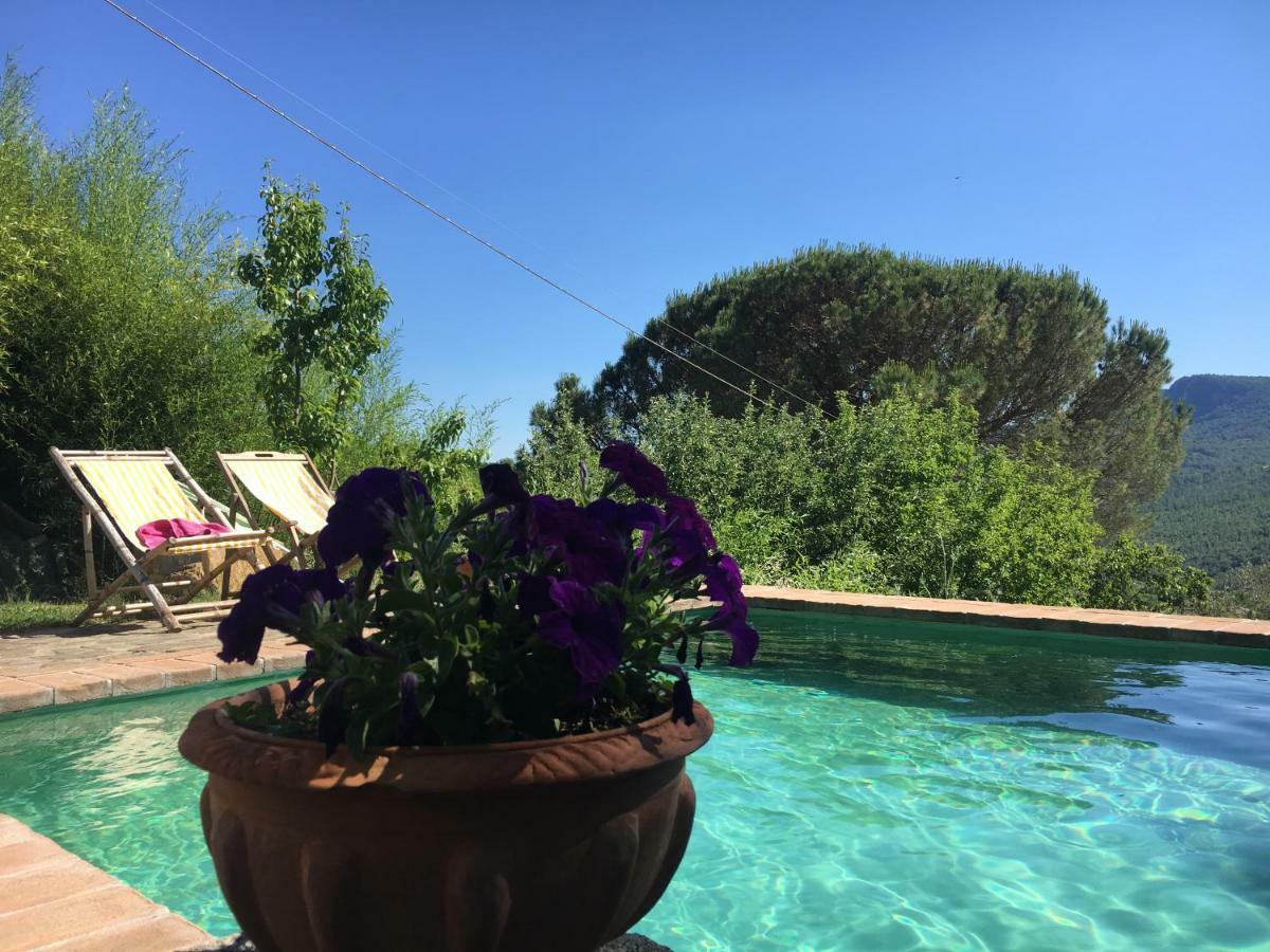 Podere Di Maggio - Glamping Tent 2 Санта-Фьора Экстерьер фото
